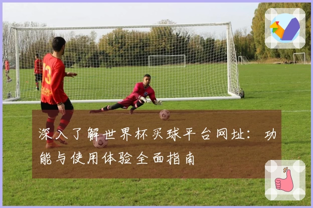 深入了解世界杯买球平台网址：功能与使用体验全面指南