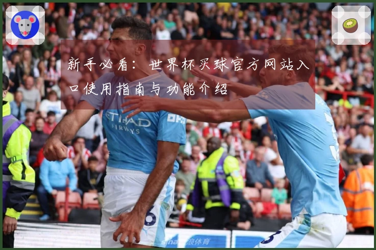 新手必看：世界杯买球官方网站入口使用指南与功能介绍