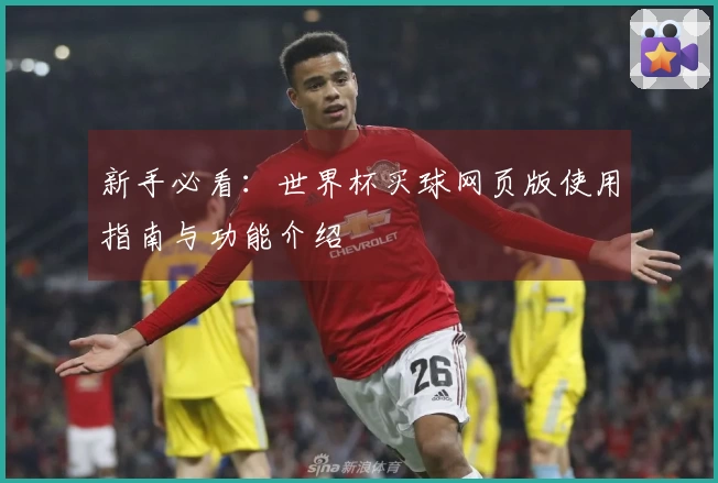 新手必看：世界杯买球网页版使用指南与功能介绍