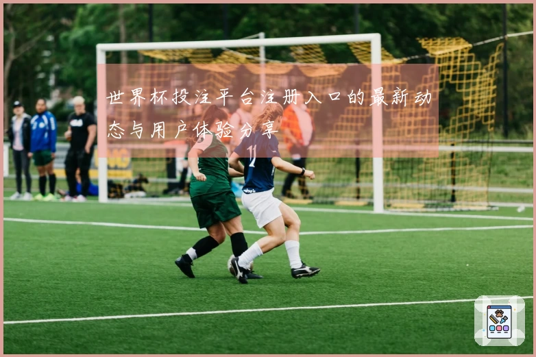 世界杯投注平台注册入口的最新动态与用户体验分享