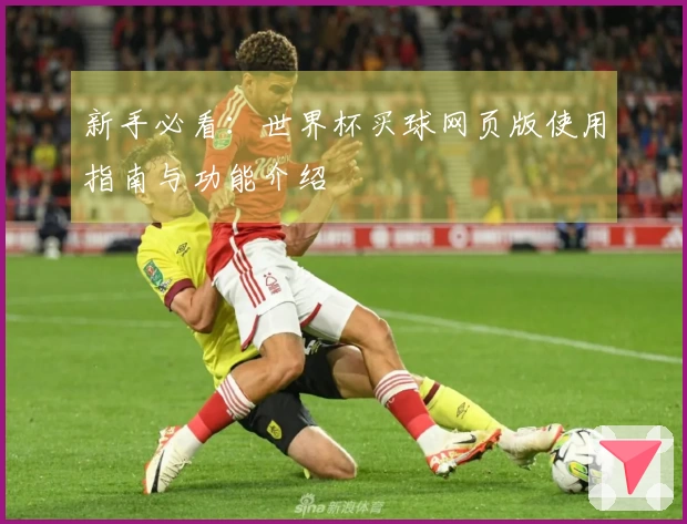 新手必看：世界杯买球网页版使用指南与功能介绍