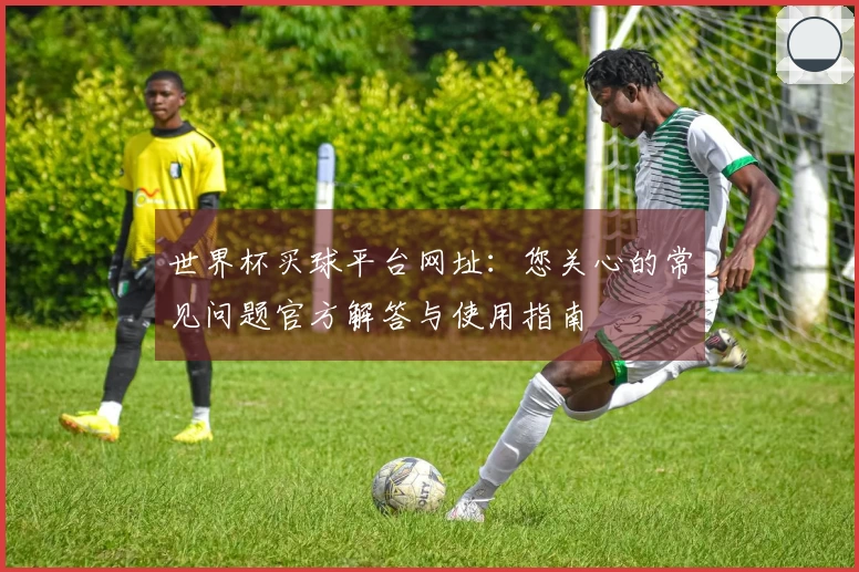 世界杯买球平台网址：您关心的常见问题官方解答与使用指南