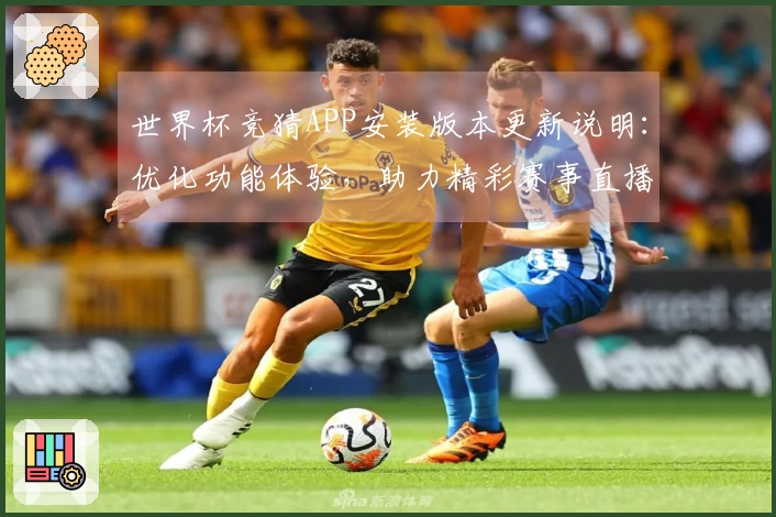 世界杯竞猜APP安装版本更新说明：优化功能体验，助力精彩赛事直播