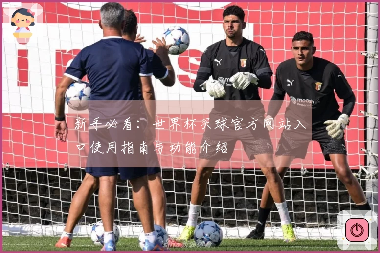 新手必看：世界杯买球官方网站入口使用指南与功能介绍